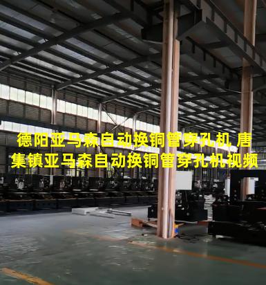 德阳亚马森自动换铜管穿孔机 唐集镇亚马森自动换铜管穿孔机视频